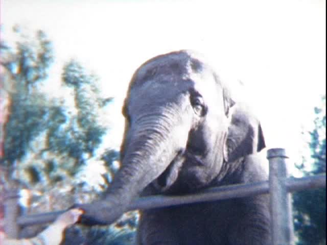 NOSEY.mp4